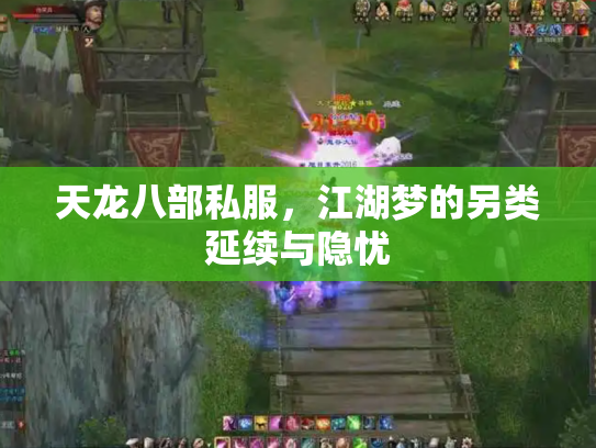 天龙八部私服，江湖梦的另类延续与隐忧