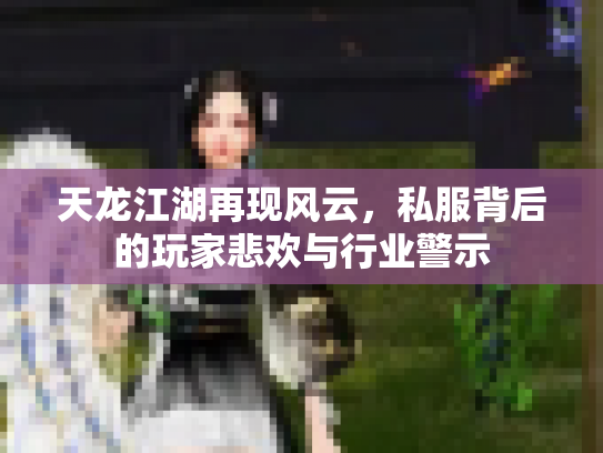天龙江湖再现风云，私服背后的玩家悲欢与行业警示