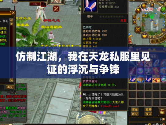 仿制江湖，我在天龙私服里见证的浮沉与争锋