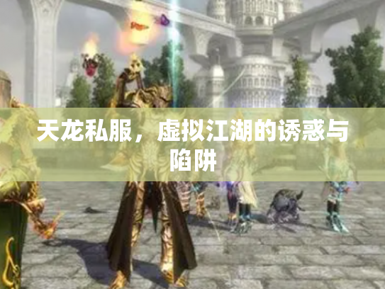 天龙私服，虚拟江湖的诱惑与陷阱