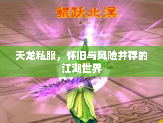 天龙私服，怀旧与风险并存的江湖世界