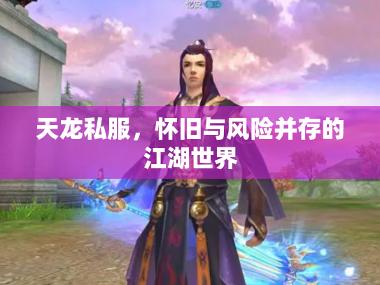 天龙私服，怀旧与风险并存的江湖世界