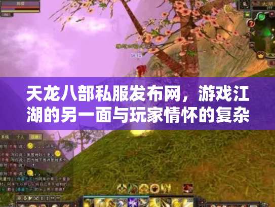 天龙八部私服发布网，游戏江湖的另一面与玩家情怀的复杂交织
