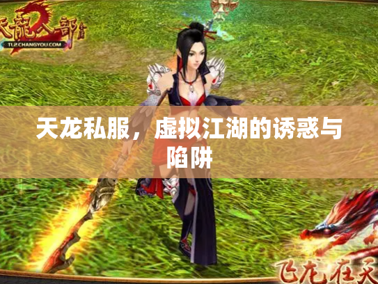 天龙私服，虚拟江湖的诱惑与陷阱