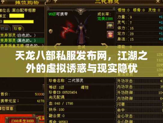 天龙八部私服发布网，江湖之外的虚拟诱惑与现实隐忧
