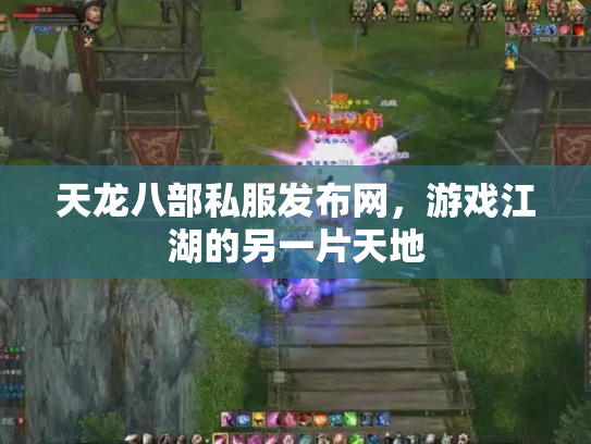 天龙八部私服发布网，游戏江湖的另一片天地