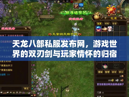 天龙八部私服发布网，游戏世界的双刃剑与玩家情怀的归宿