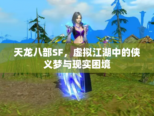 天龙八部SF，虚拟江湖中的侠义梦与现实困境