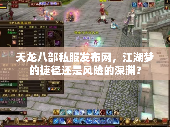 天龙八部私服发布网，江湖梦的捷径还是风险的深渊？