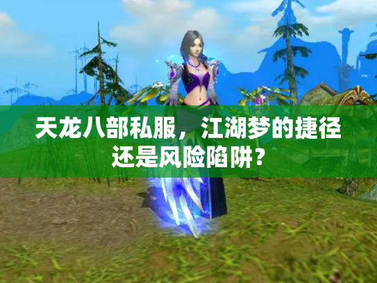 天龙八部私服，江湖梦的捷径还是风险陷阱？