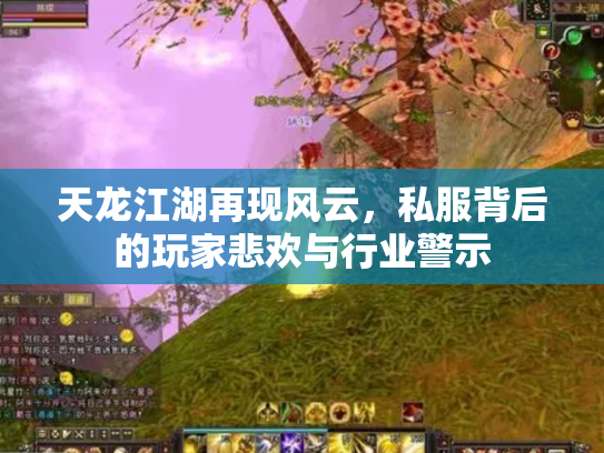 天龙江湖再现风云，私服背后的玩家悲欢与行业警示