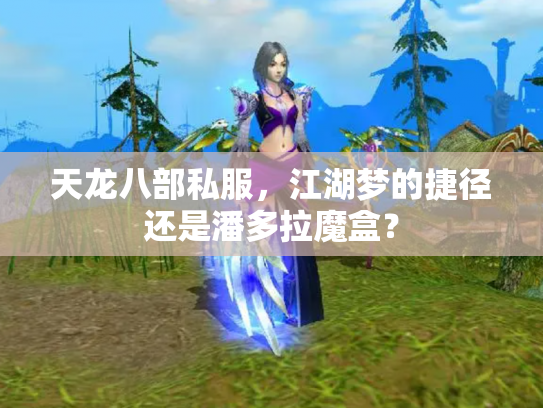天龙八部私服，江湖梦的捷径还是潘多拉魔盒？