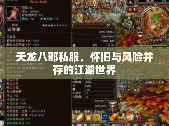 天龙八部私服,怀旧与风险并存的江湖世界 天龙八部私服,怀旧与风险并存的江湖世界