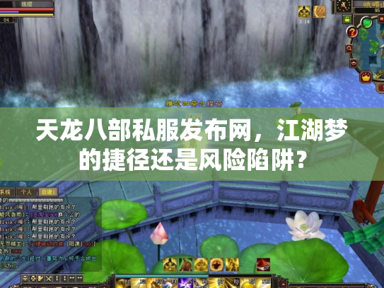 天龙八部私服发布网，江湖梦的捷径还是风险陷阱？