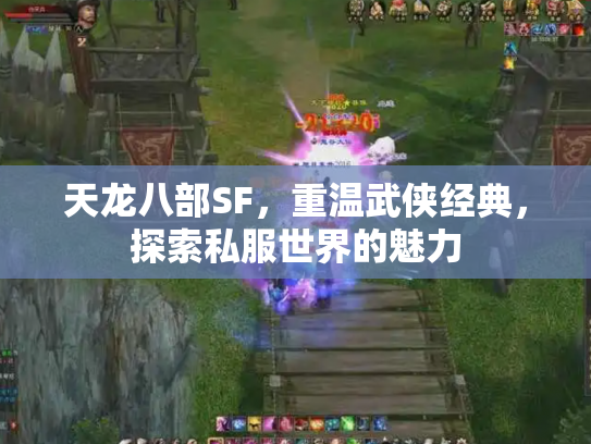 天龙八部SF，重温武侠经典，探索私服世界的魅力