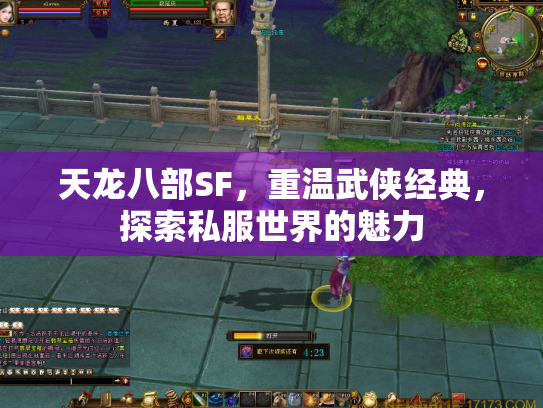 天龙八部SF，重温武侠经典，探索私服世界的魅力