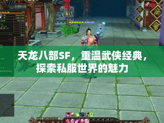 天龙八部SF，重温武侠经典，探索私服世界的魅力