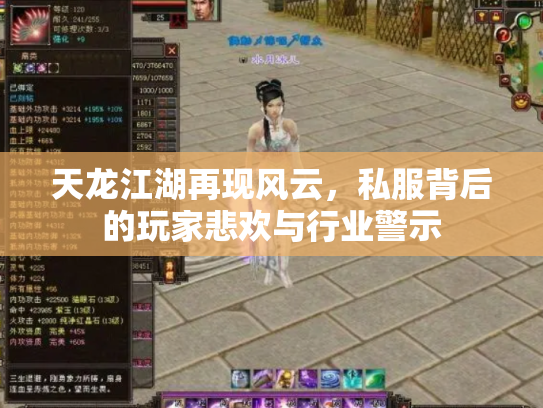 天龙江湖再现风云，私服背后的玩家悲欢与行业警示