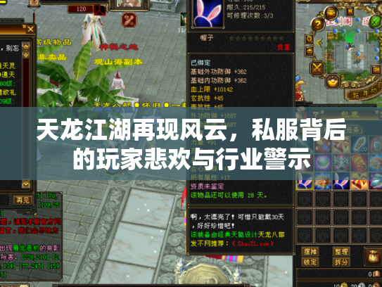 天龙江湖再现风云，私服背后的玩家悲欢与行业警示