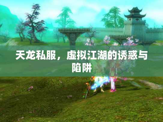 天龙私服，虚拟江湖的诱惑与陷阱