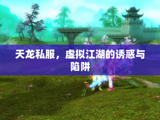 天龙私服，虚拟江湖的诱惑与陷阱