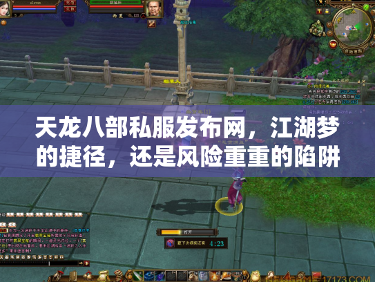 天龙八部私服发布网，江湖梦的捷径，还是风险重重的陷阱？