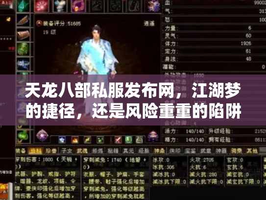 天龙八部私服发布网，江湖梦的捷径，还是风险重重的陷阱？