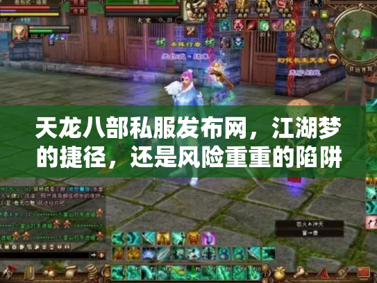 天龙八部私服发布网，江湖梦的捷径，还是风险重重的陷阱？