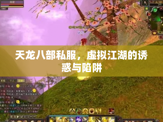 天龙八部私服，虚拟江湖的诱惑与陷阱