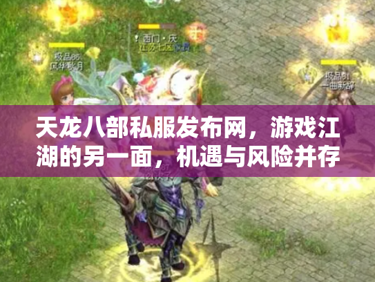 天龙八部私服发布网，游戏江湖的另一面，机遇与风险并存
