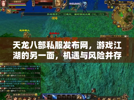 天龙八部私服发布网，游戏江湖的另一面，机遇与风险并存
