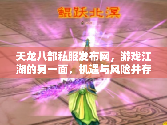 天龙八部私服发布网，游戏江湖的另一面，机遇与风险并存