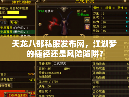 天龙八部私服发布网，江湖梦的捷径还是风险陷阱？