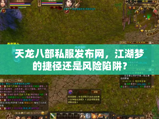 天龙八部私服发布网，江湖梦的捷径还是风险陷阱？