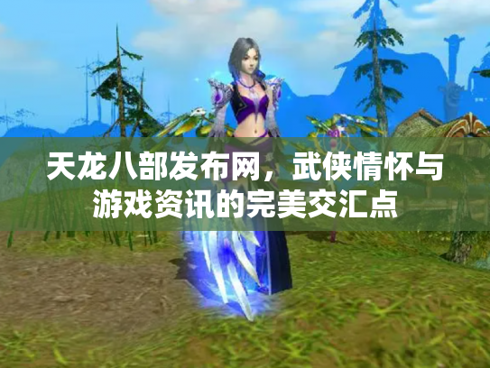 天龙八部发布网，武侠情怀与游戏资讯的完美交汇点