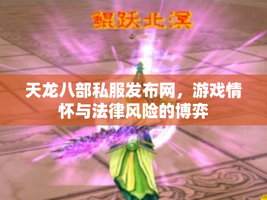 天龙八部私服发布网，游戏情怀与法律风险的博弈