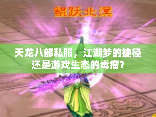 天龙八部私服，江湖梦的捷径还是游戏生态的毒瘤？