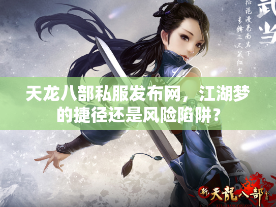 天龙八部私服发布网，江湖梦的捷径还是风险陷阱？