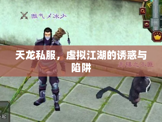 天龙私服，虚拟江湖的诱惑与陷阱
