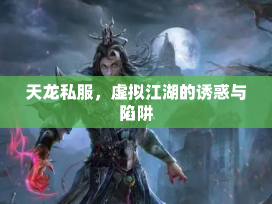 天龙私服，虚拟江湖的诱惑与陷阱