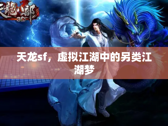 天龙sf，虚拟江湖中的另类江湖梦