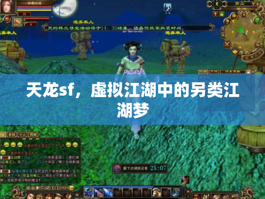 天龙sf，虚拟江湖中的另类江湖梦