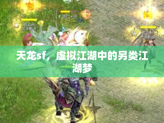 天龙sf，虚拟江湖中的另类江湖梦