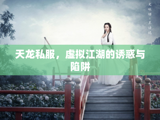 天龙私服，虚拟江湖的诱惑与陷阱