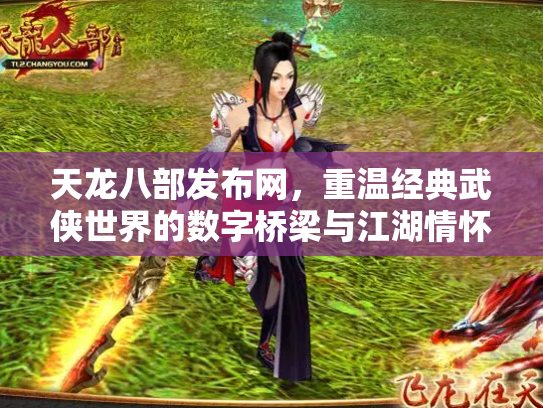 天龙八部发布网，重温经典武侠世界的数字桥梁与江湖情怀
