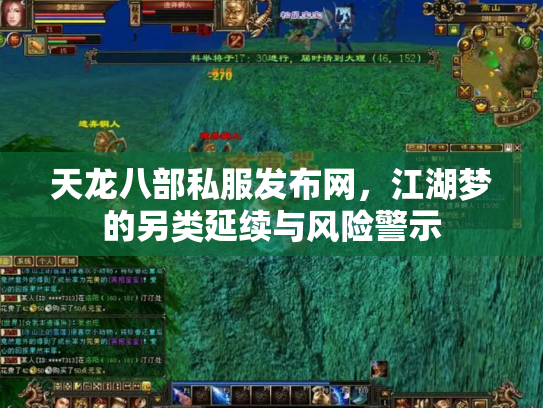 天龙八部私服发布网，江湖梦的另类延续与风险警示