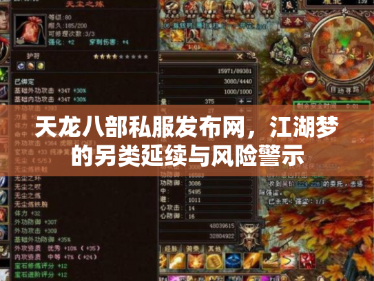 天龙八部私服发布网，江湖梦的另类延续与风险警示