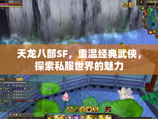 天龙八部SF，重温经典武侠，探索私服世界的魅力