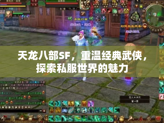 天龙八部SF，重温经典武侠，探索私服世界的魅力