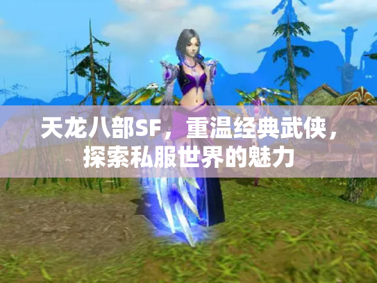 天龙八部SF，重温经典武侠，探索私服世界的魅力